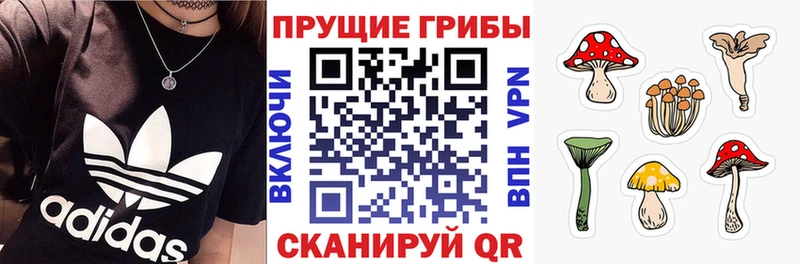 купить наркотик  мориарти Telegram  Псилоцибиновые грибы прущие грибы  Кисловодск  omg рабочий сайт 